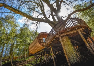 Treehouse accommodation at The Fish